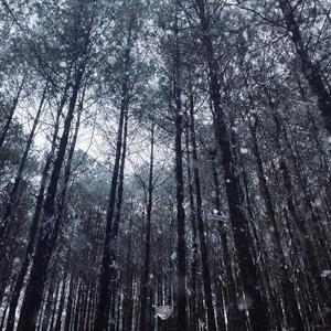 性变态:虐阴  现在观看
