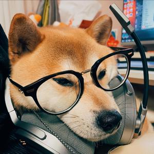 性变态:虐阴  现在观看
