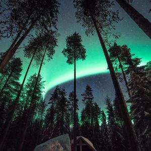 性变态:虐阴  现在观看
